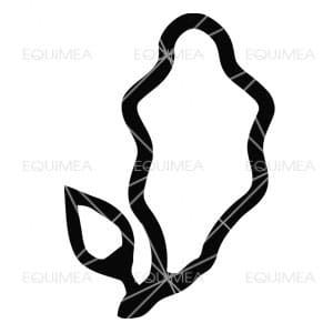 Aufkleber Hannoveraner Pony - EQUIMEA