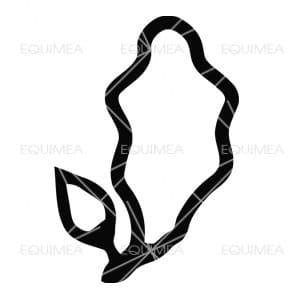 Aufkleber Rheinland Pony - EQUIMEA