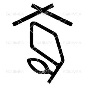 Aufkleber Weser - Ems Pony - EQUIMEA