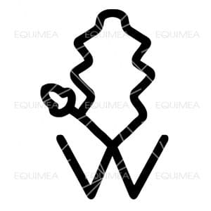 Aufkleber Westfalen Pony - EQUIMEA