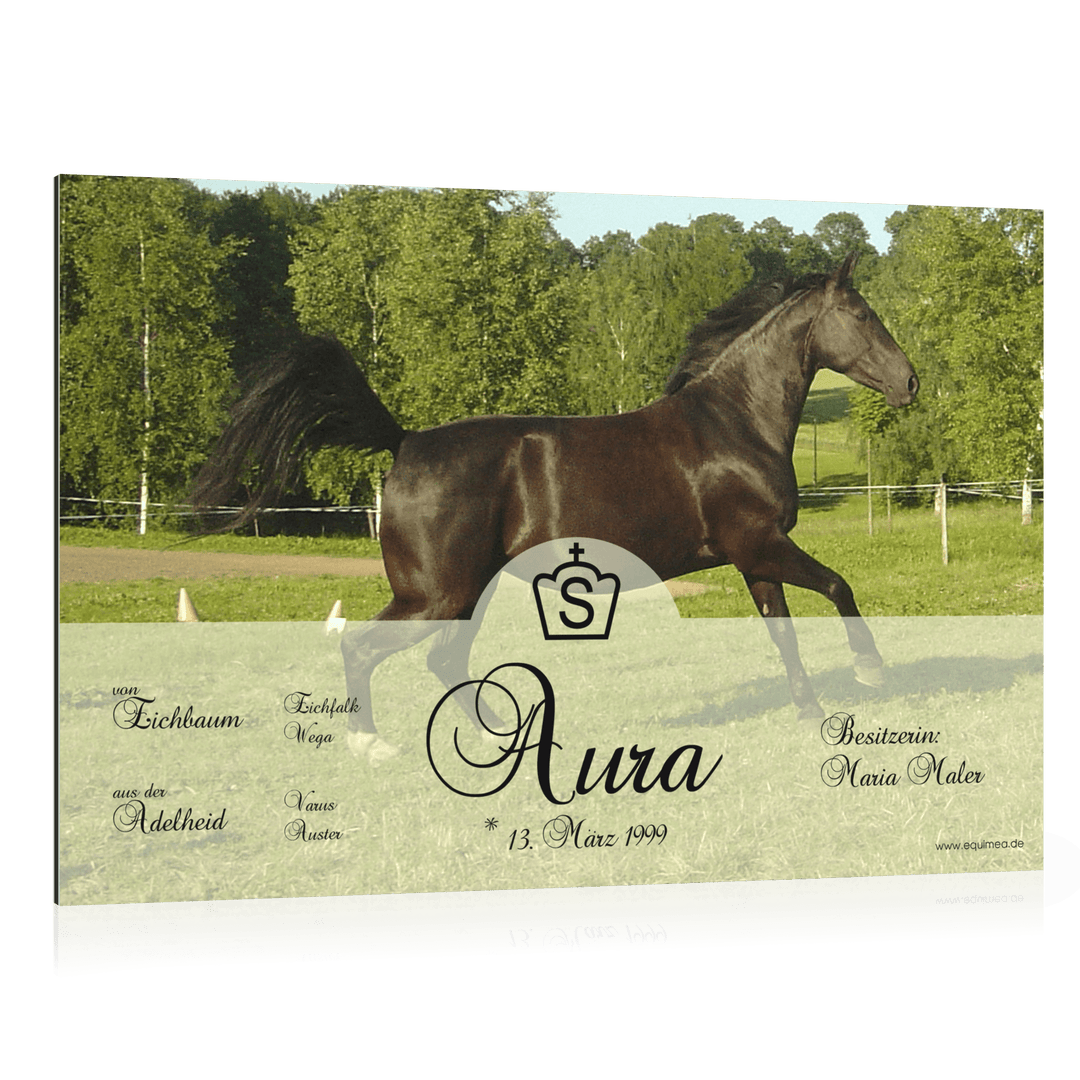 Boxenschild "Carrick" - EQUIMEA