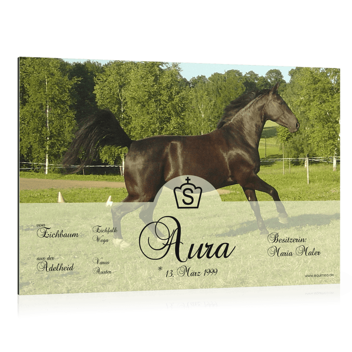 Boxenschild "Carrick" - EQUIMEA