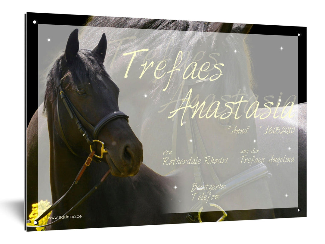 Boxenschild "Cremello" - EQUIMEA