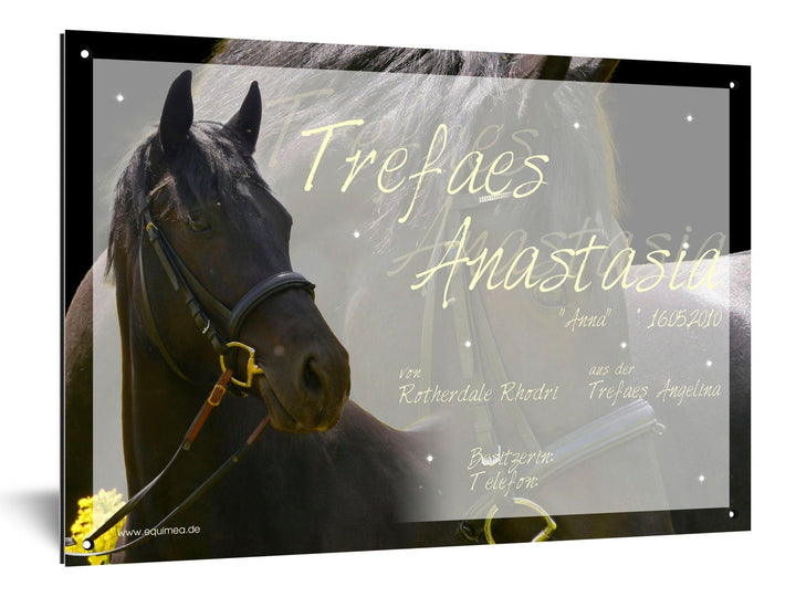 Boxenschild "Cremello" - EQUIMEA