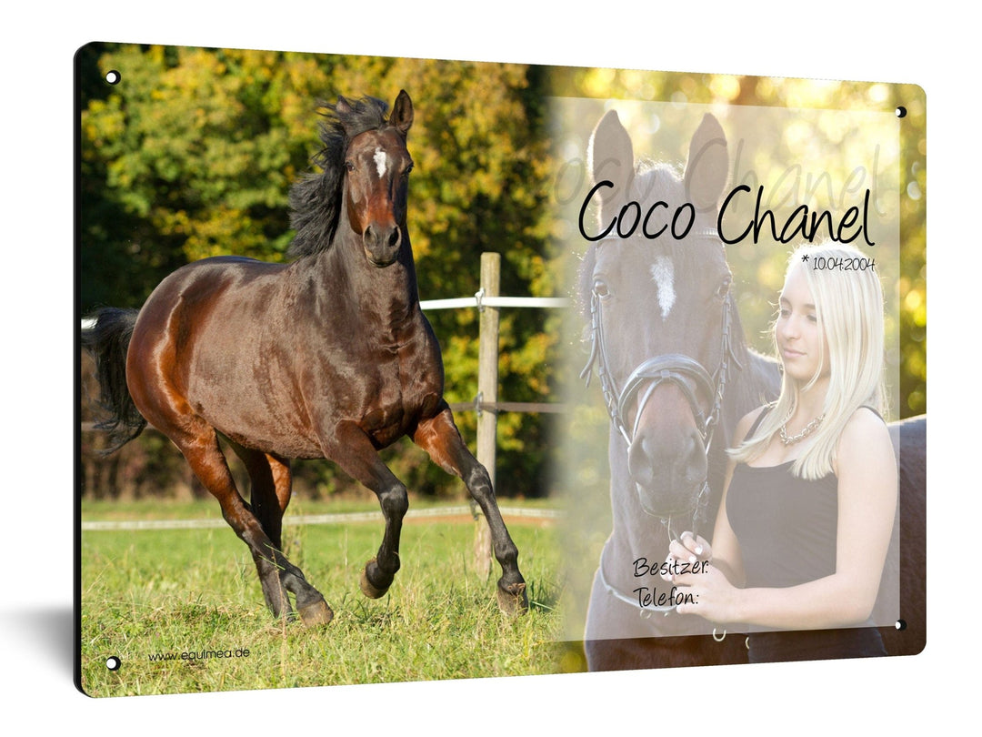 Boxenschild "Cremello" - EQUIMEA