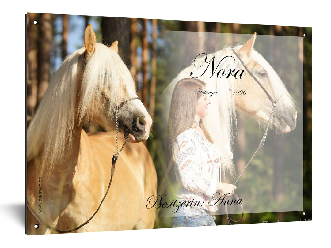 Boxenschild "Cremello" - EQUIMEA