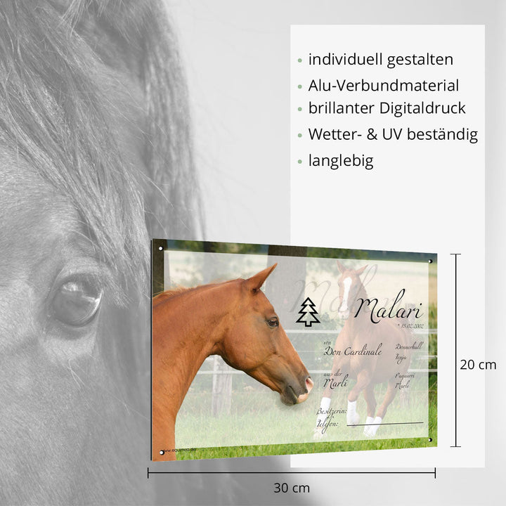 Boxenschild Cremello - EQUIMEA