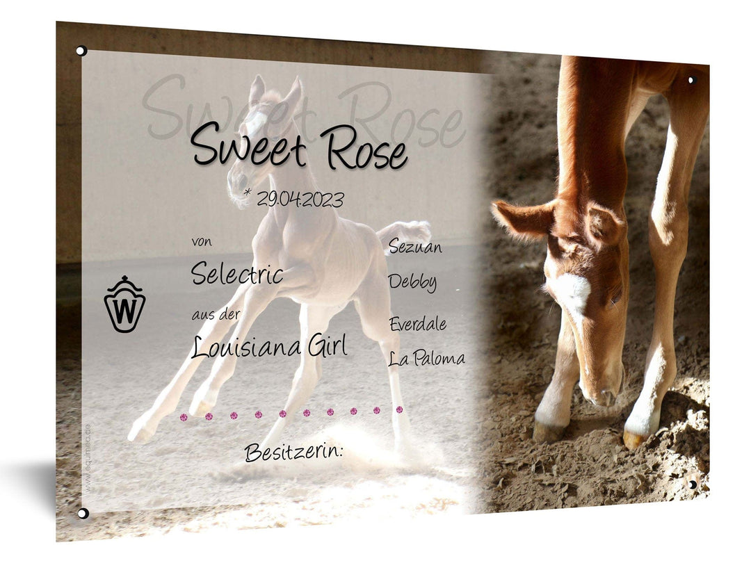 Boxenschild "Cremello" - EQUIMEA