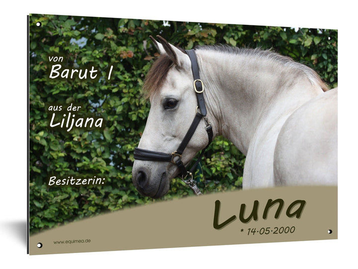 Boxenschild "Cutting" - EQUIMEA