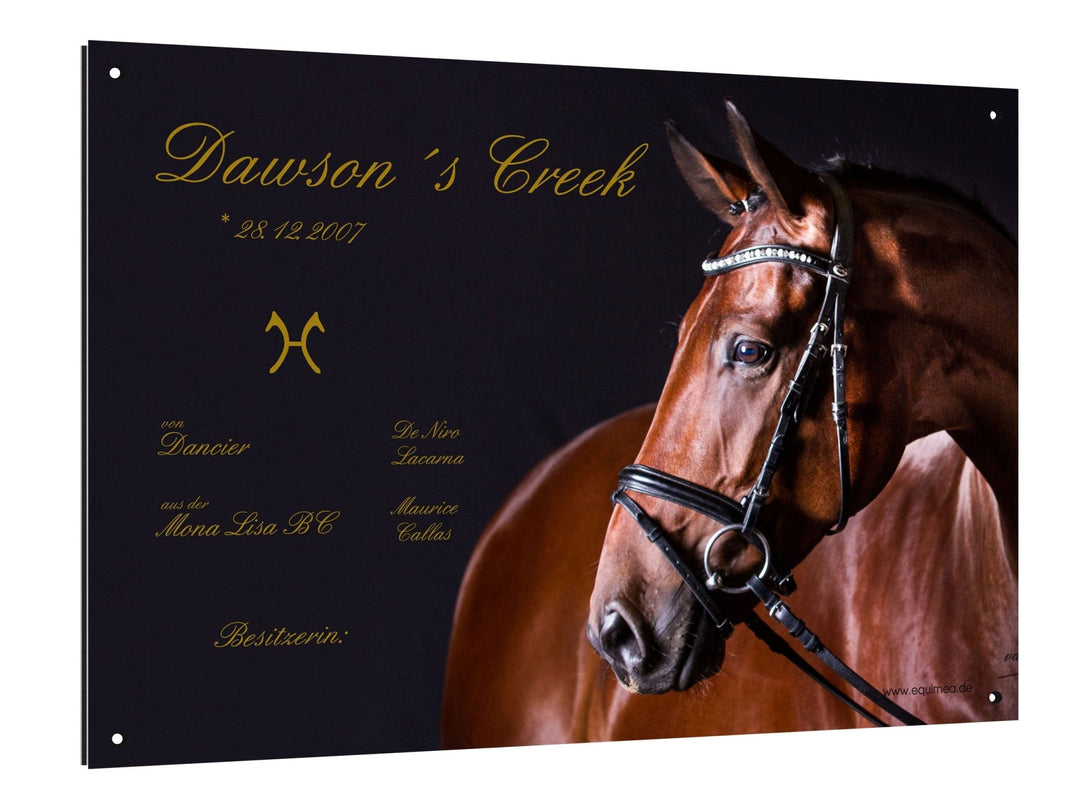 Boxenschild "Derby" - EQUIMEA