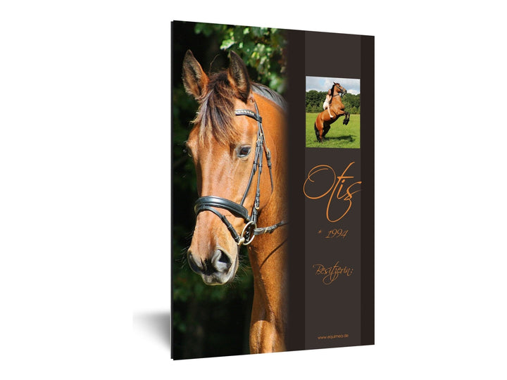 Boxenschild "Lancade" - EQUIMEA