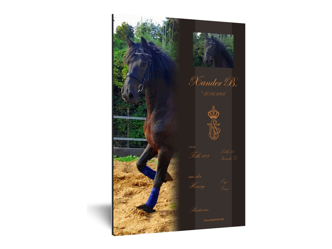Boxenschild "Lancade" - EQUIMEA