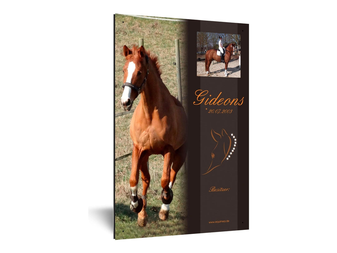 Boxenschild "Lancade" - EQUIMEA