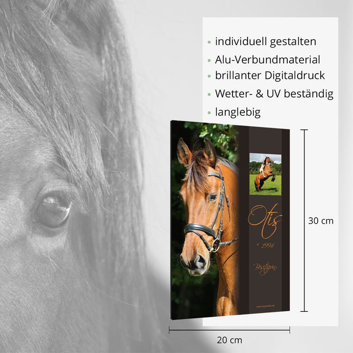 Boxenschild Lancade - EQUIMEA