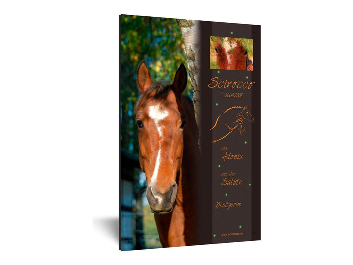 Boxenschild "Lancade" - EQUIMEA