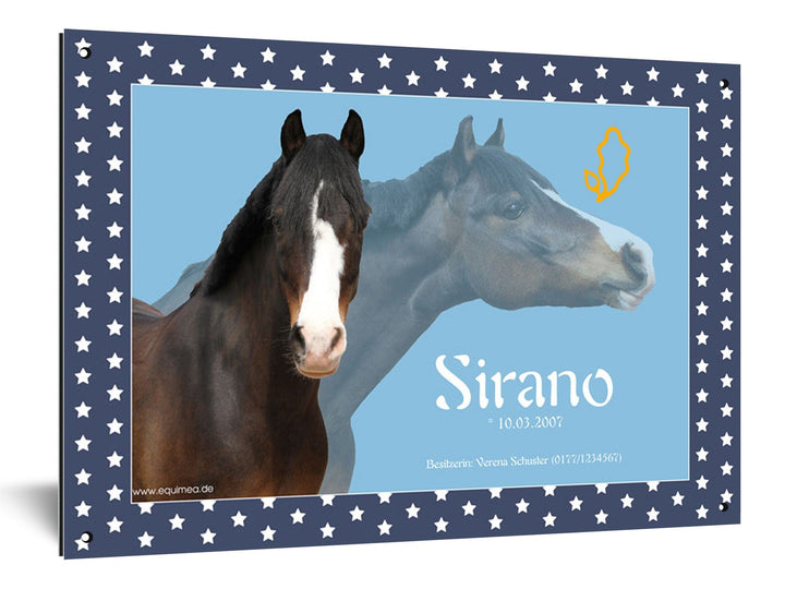 Boxenschild "Little Star" - EQUIMEA