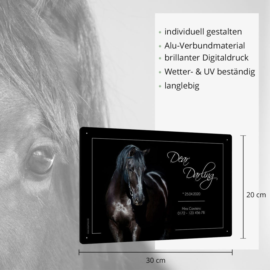 Boxenschild Morgan - EQUIMEA