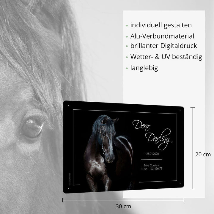 Boxenschild Morgan - EQUIMEA