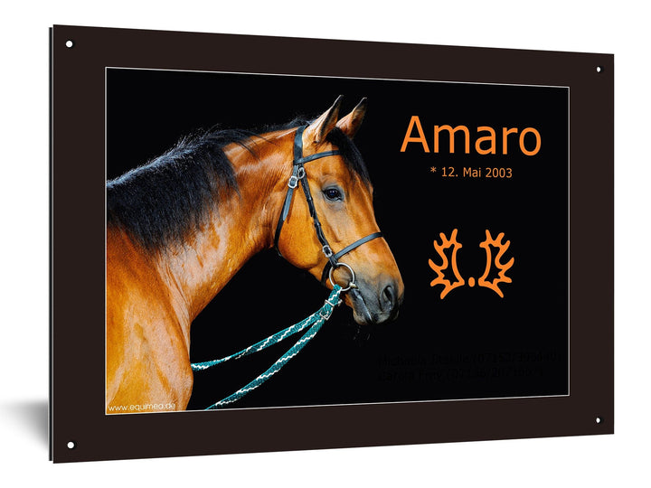 Boxenschild "Remonte" - EQUIMEA