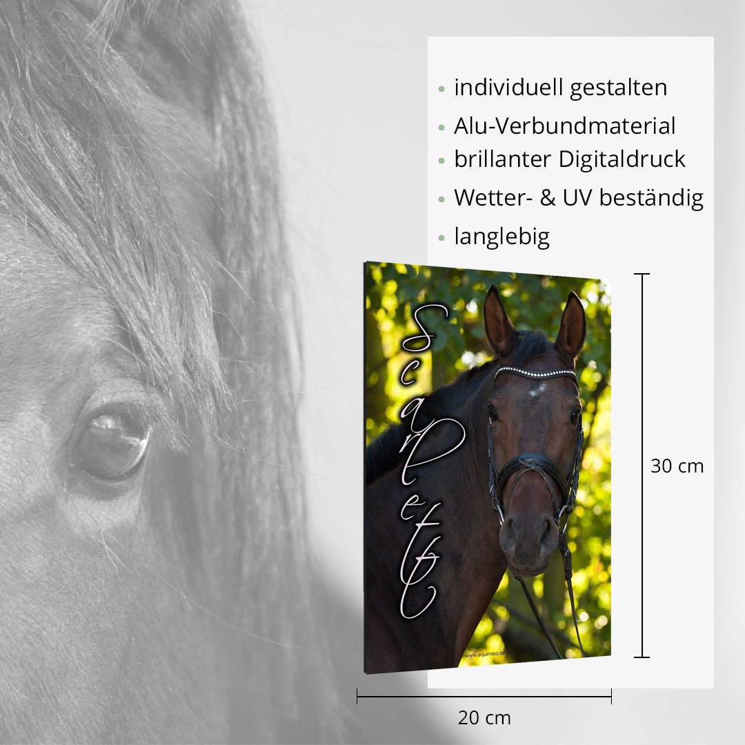 Boxenschild Selett - EQUIMEA