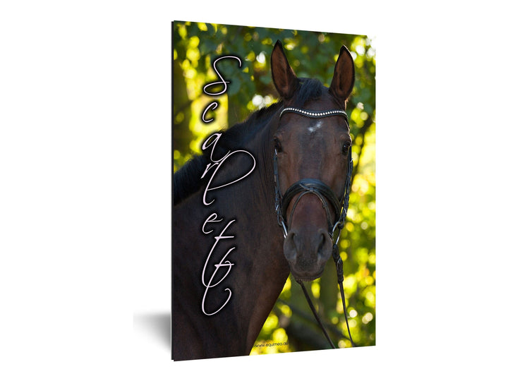 Boxenschild "Selett" - EQUIMEA