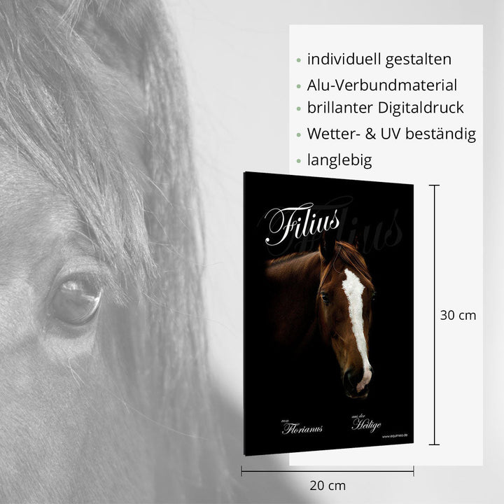 Boxenschild Tete - EQUIMEA