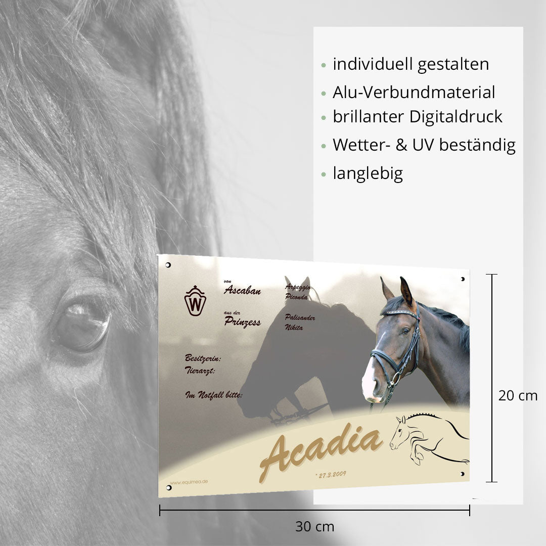 Boxenschild Trail - EQUIMEA