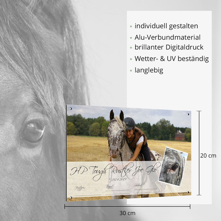 Boxenschild Walk - In - EQUIMEA