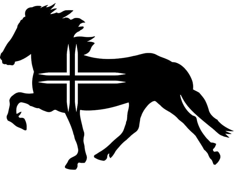 Isländer mit Flagge - EQUIMEA
