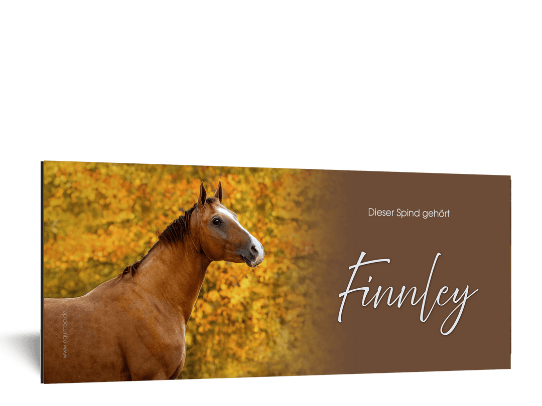 Spindschild Don Royal - EQUIMEA