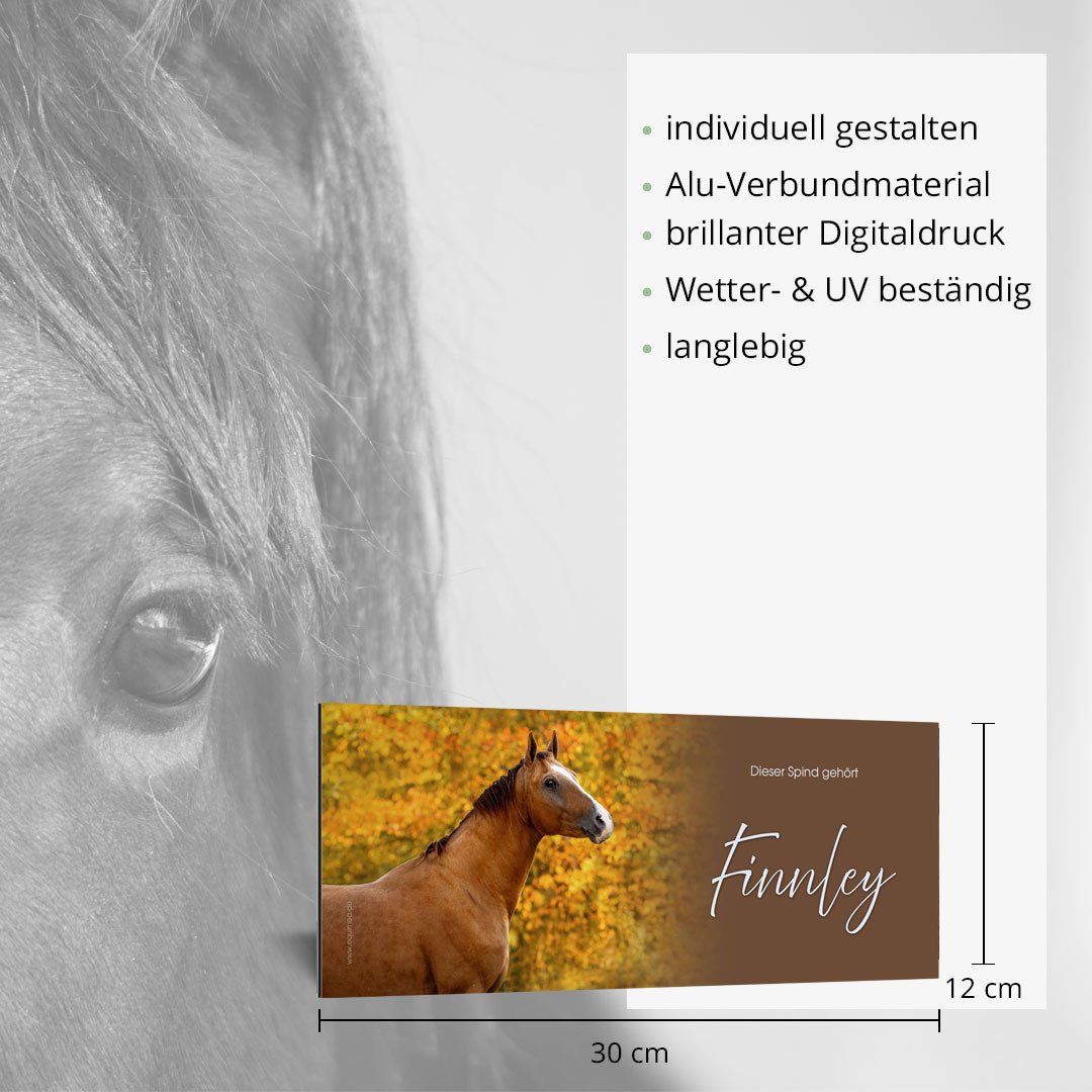 Spindschild Don Royal - EQUIMEA