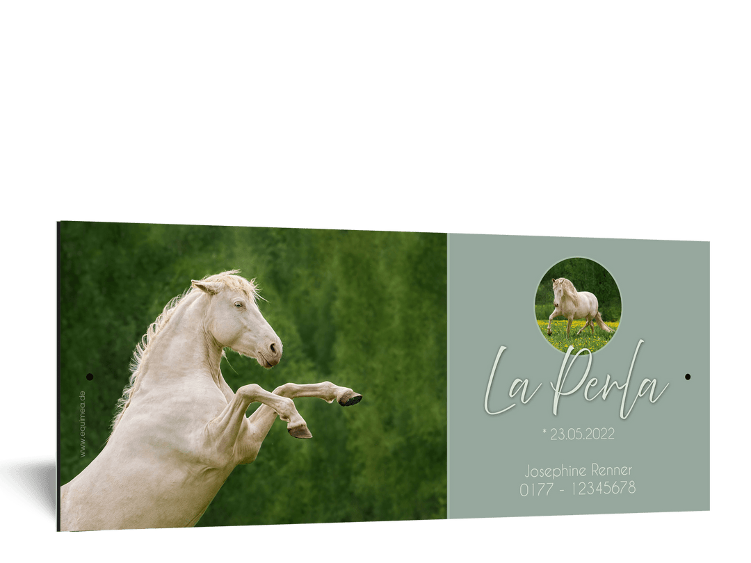 Boxenschild Belle Fleur - EQUIMEA