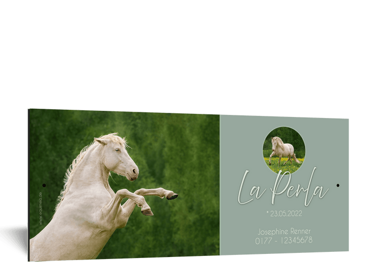 Boxenschild Belle Fleur - EQUIMEA