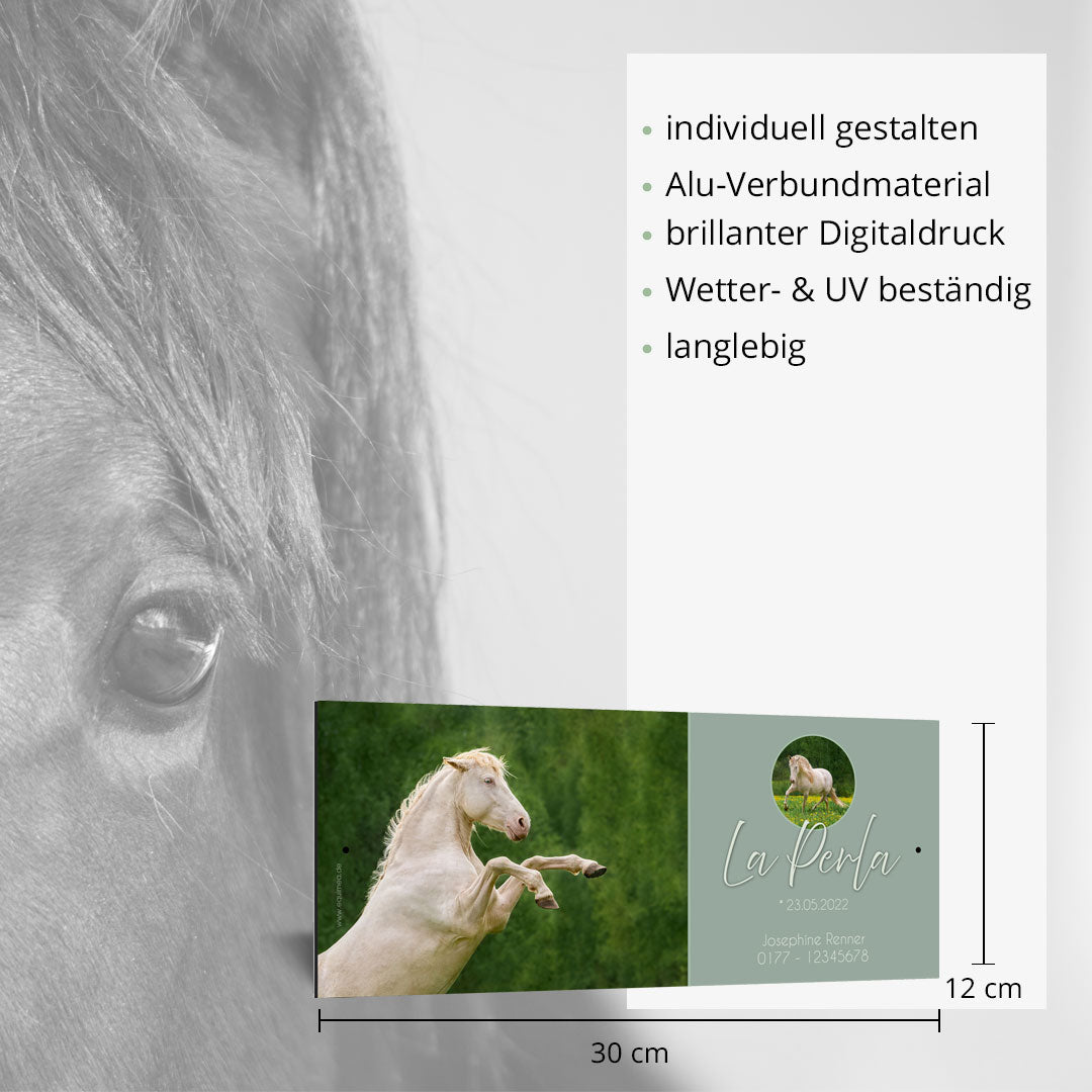Boxenschild Belle Fleur - EQUIMEA