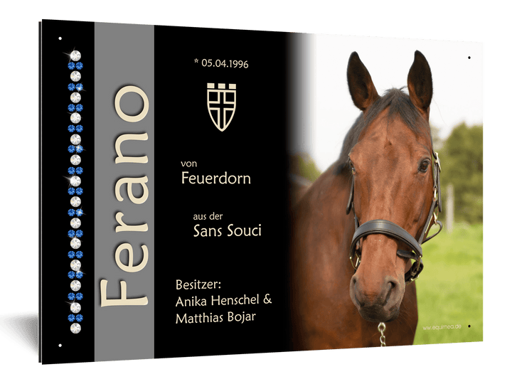 Boxenschild "Caballo" veredelt mit weltbekannten Kristallen aus Österreich - EQUIMEA