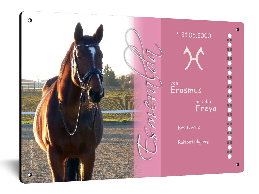 Boxenschild "Caballo" veredelt mit weltbekannten Kristallen aus Österreich - EQUIMEA