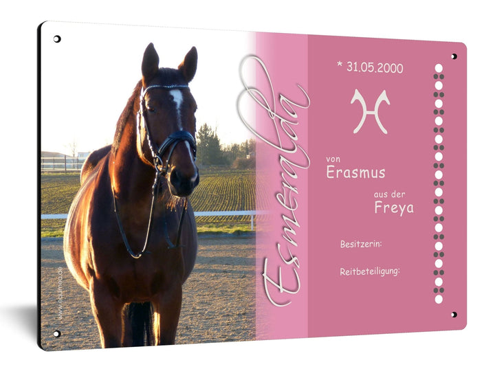 Boxenschild "Caballo" veredelt mit weltbekannten Kristallen aus Österreich - EQUIMEA