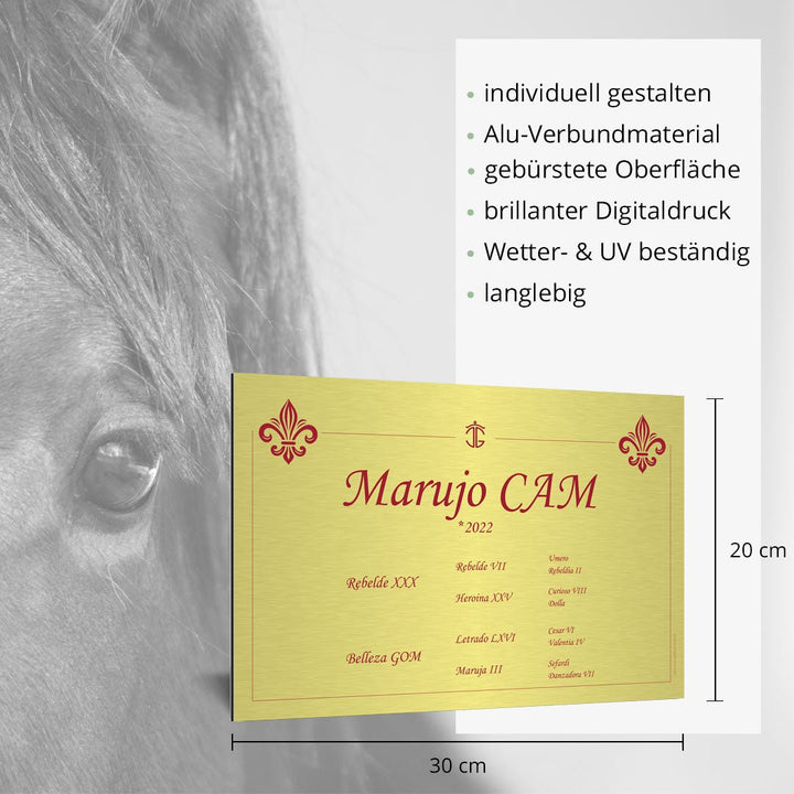 Boxenschild Cacique - EQUIMEA