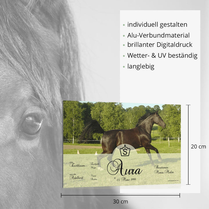 Boxenschild Carrick - EQUIMEA