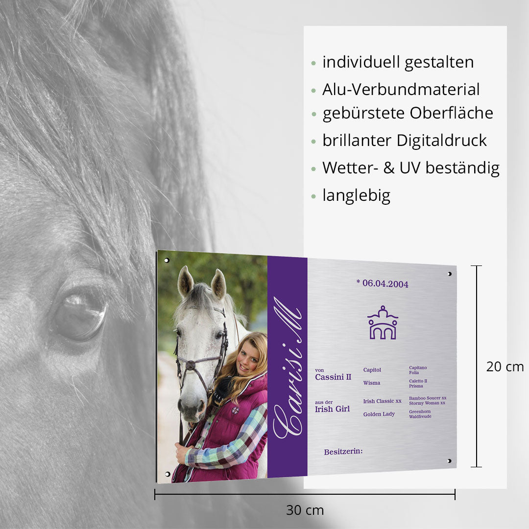 Boxenschild Dressage - EQUIMEA