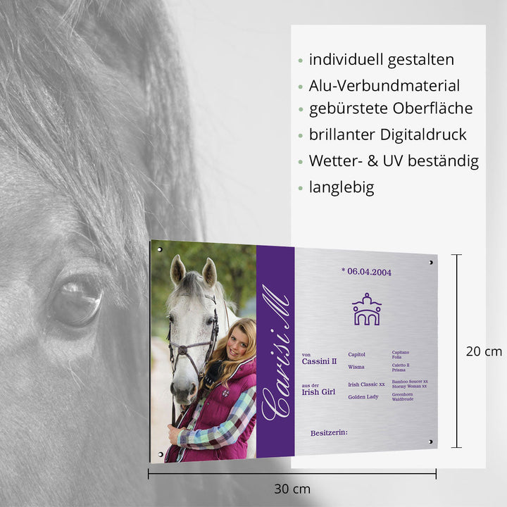 Boxenschild Dressage - EQUIMEA