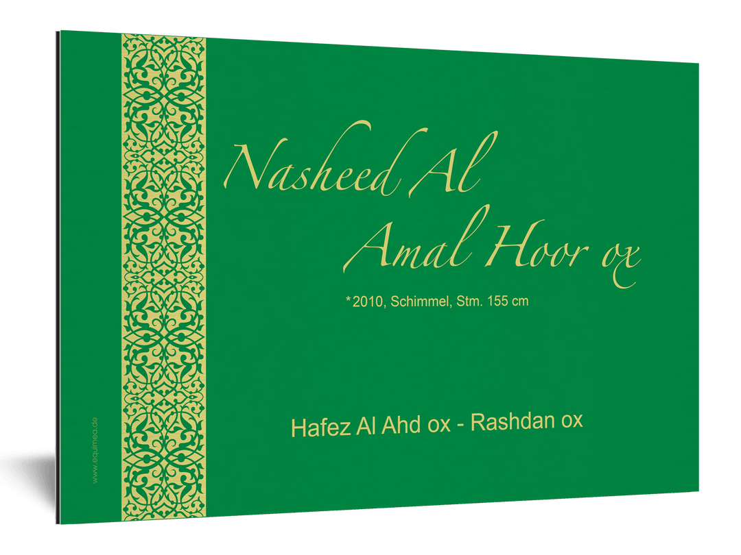 Boxenschild Ghazal - EQUIMEA