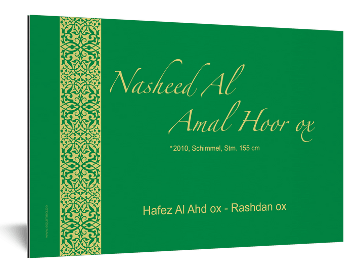 Boxenschild Ghazal - EQUIMEA
