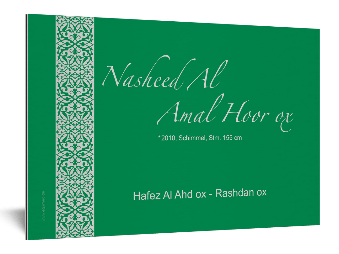 Boxenschild Ghazal - EQUIMEA