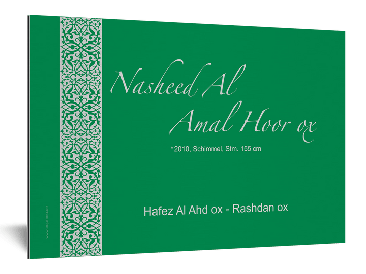 Boxenschild Ghazal - EQUIMEA
