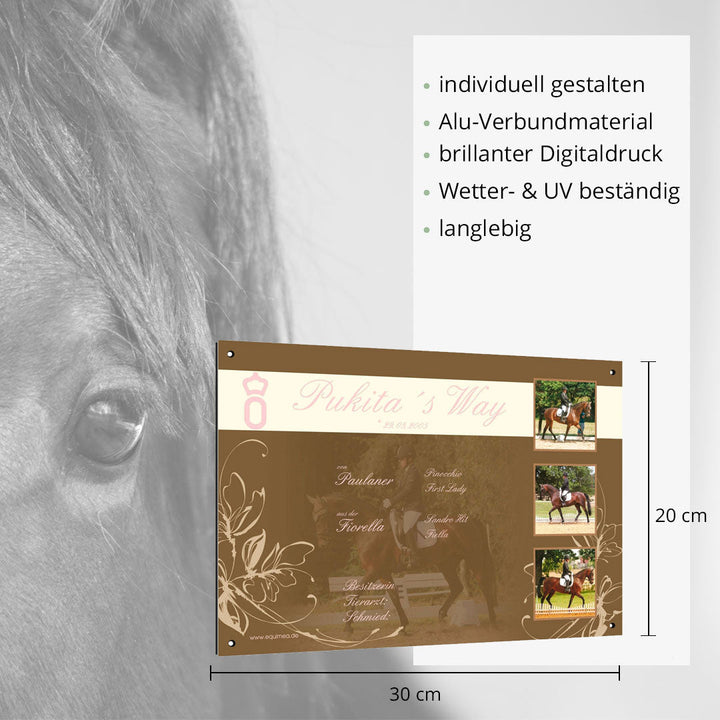 Boxenschild Kanter - EQUIMEA