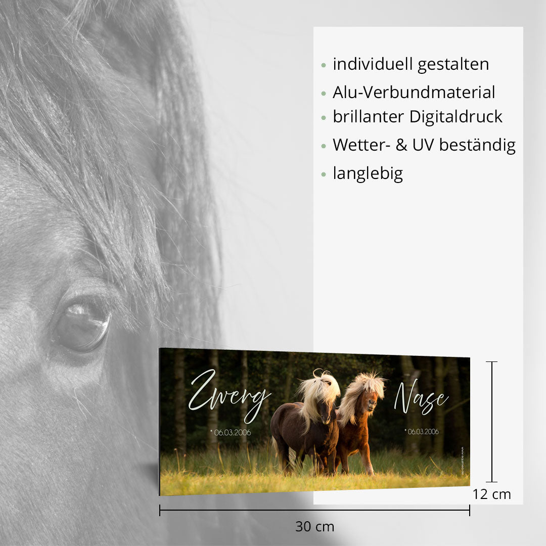 Boxenschild Nonius - EQUIMEA