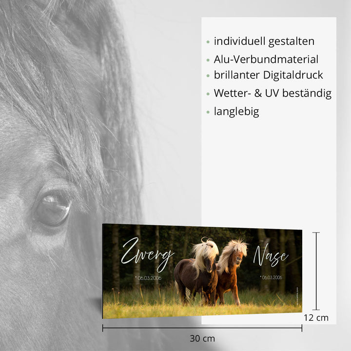 Boxenschild Nonius - EQUIMEA