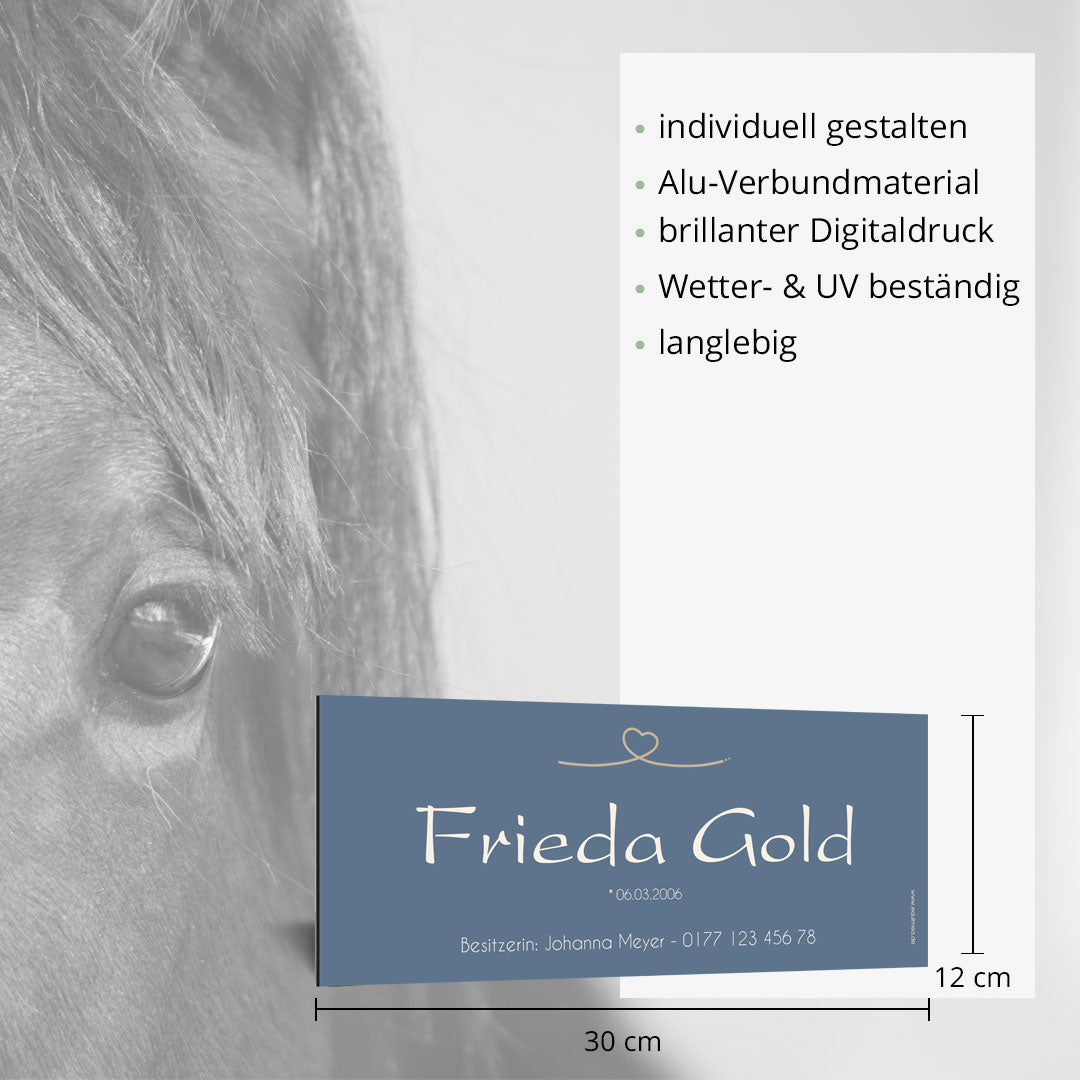 Boxenschild Sorrel - EQUIMEA