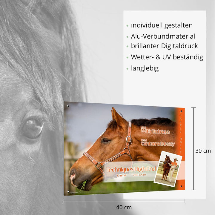 Boxenschild XXL Bosal - EQUIMEA